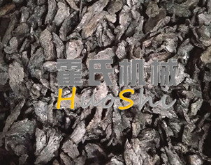 蒸女貞子、黃精體驗