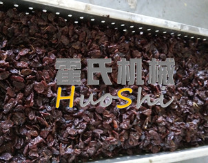 蒸女貞子、黃精體驗